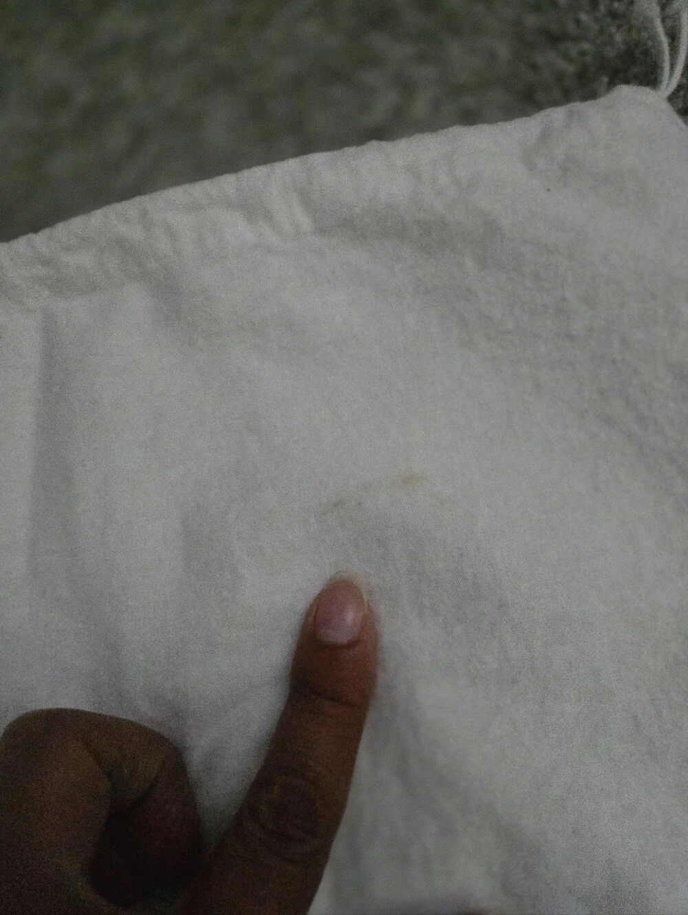 Prada Dust Bag